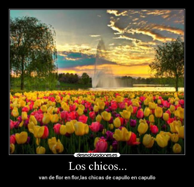 Los chicos... - 