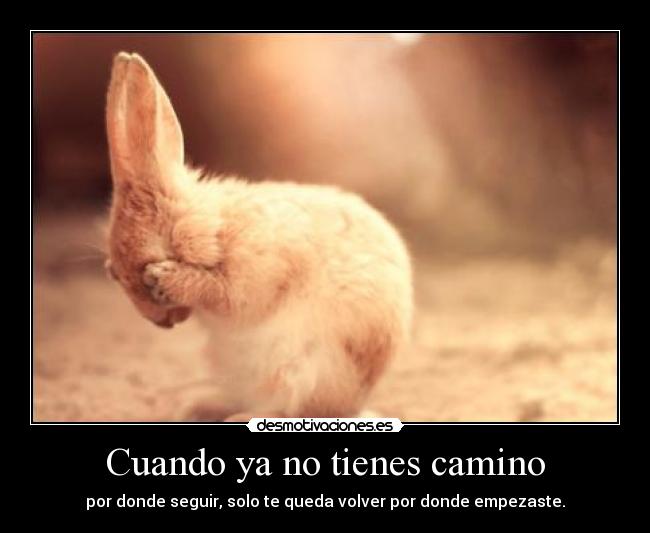 carteles isma the black swan the skie desmotivaciones