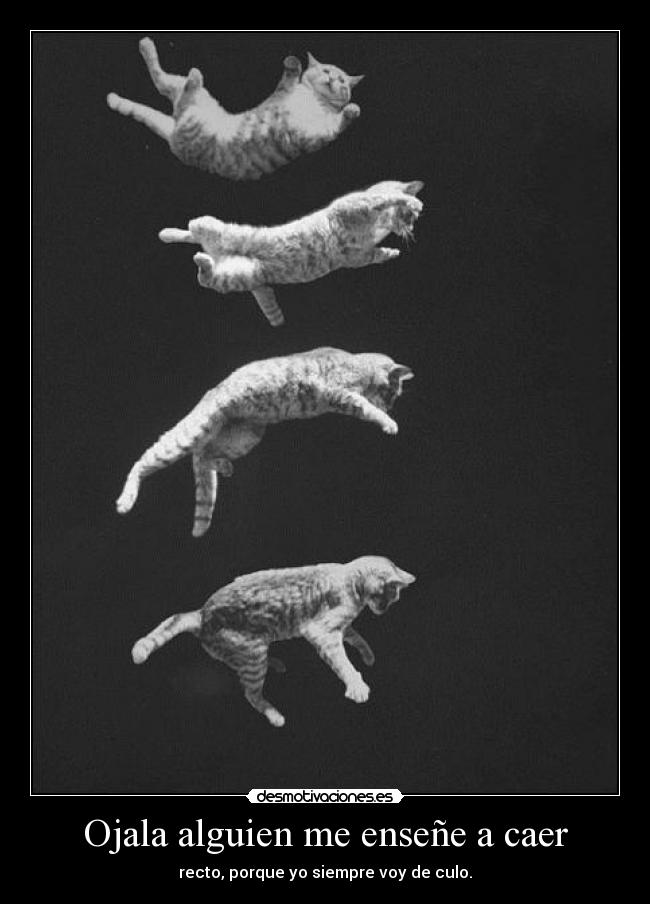 Ojala alguien me enseñe a caer - 
