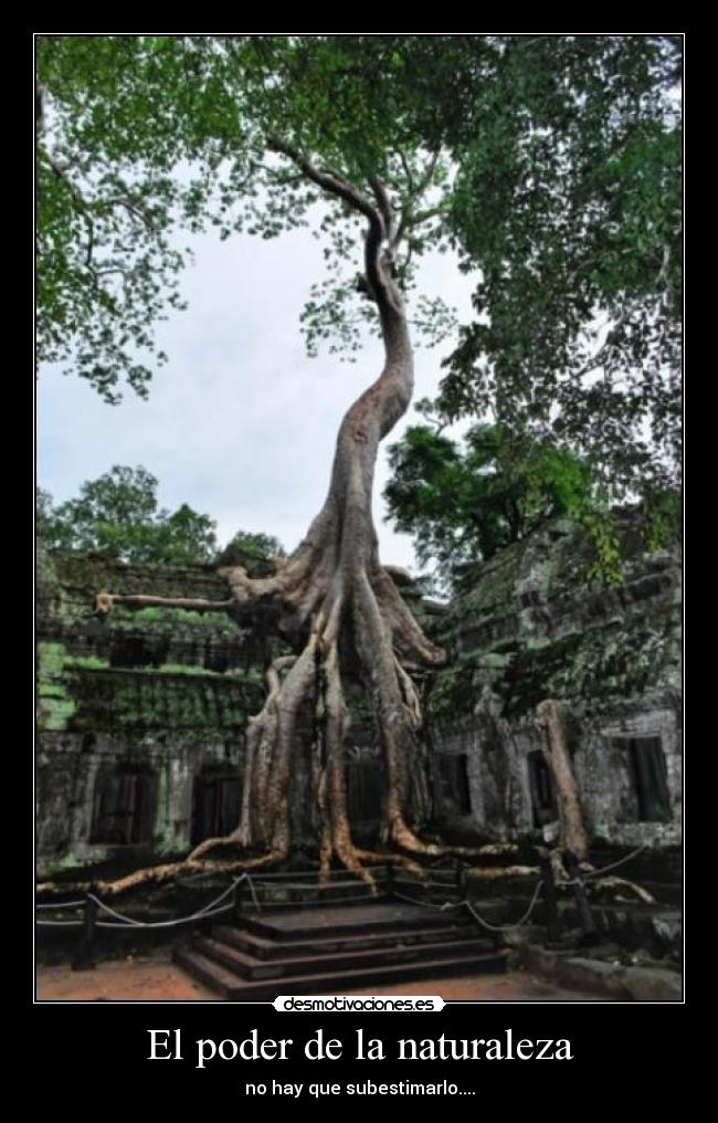 El poder de la naturaleza - no hay que subestimarlo....