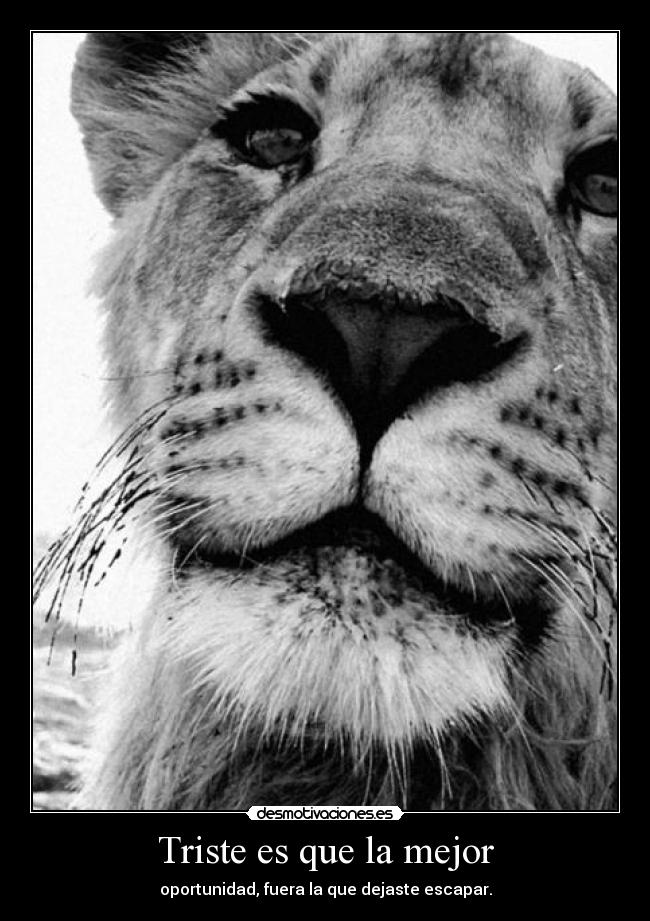 Triste es que la mejor - 