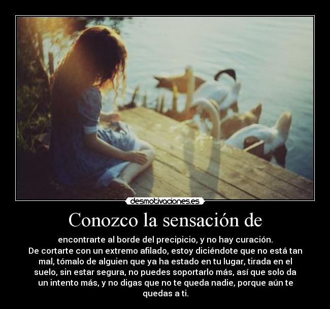 Conozco la sensación de - encontrarte al borde del precipicio, y no hay curación.
De cortarte con un extremo afilado, estoy diciéndote que no está tan
mal, tómalo de alguien que ya ha estado en tu lugar, tirada en el
suelo, sin estar segura, no puedes soportarlo más, así que solo da
un intento más, y no digas que no te queda nadie, porque aún te
quedas a ti.