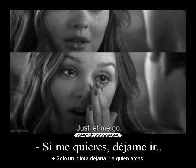 - Si me quieres, déjame ir.. - + Solo un idiota dejaría ir a quien amas.