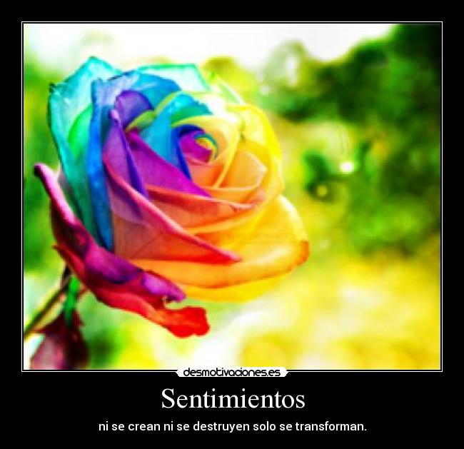 Sentimientos - 