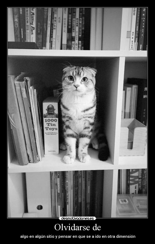 Olvidarse de - algo en algún sitio y pensar en que se a ido en otra dimensión