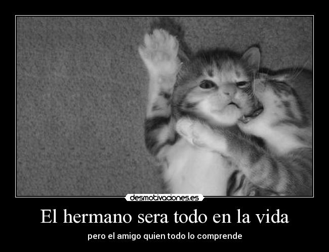 El hermano sera todo en la vida - 
