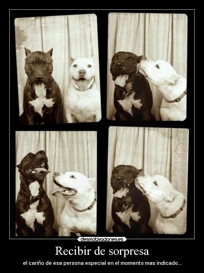 Recibir de sorpresa - el cariño de esa persona especial en el momento mas indicado...