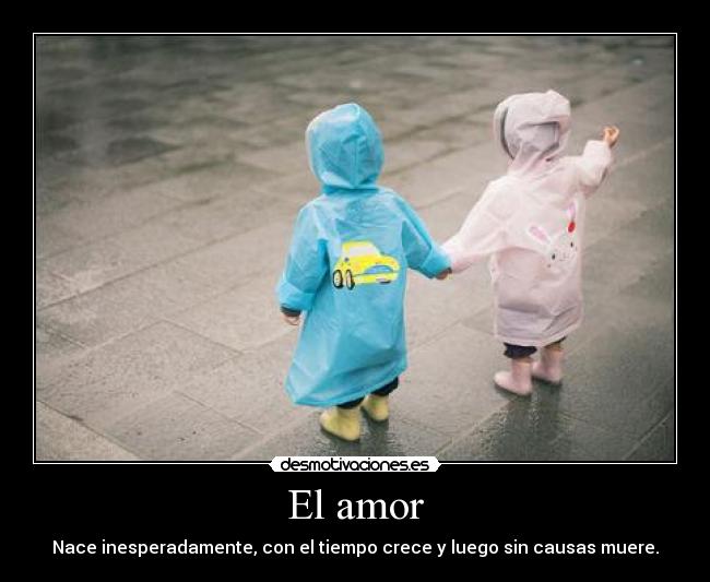 El amor -
