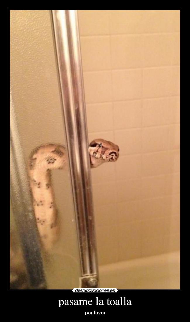 pasame la toalla - por favor