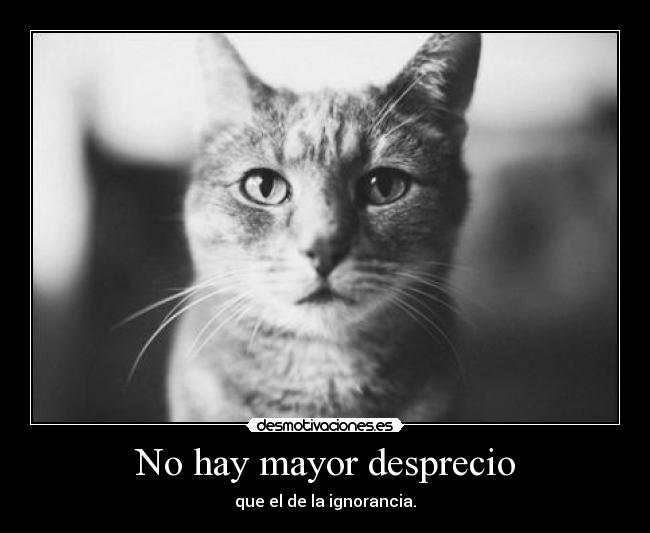 No hay mayor desprecio - que el de la ignorancia.