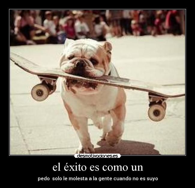 el éxito es como un - 