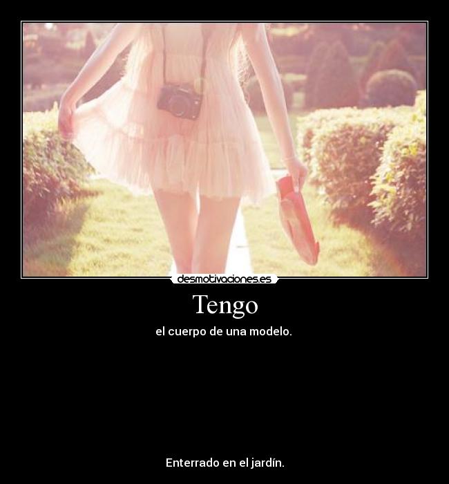 Tengo - 