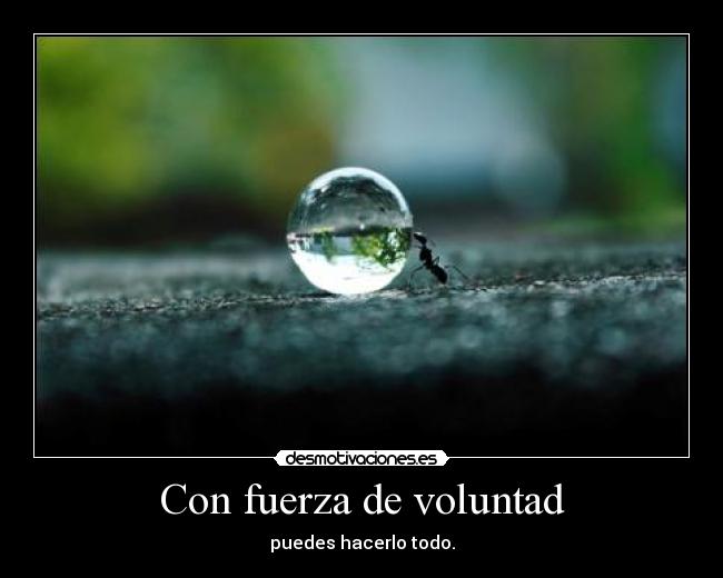 Con fuerza de voluntad -