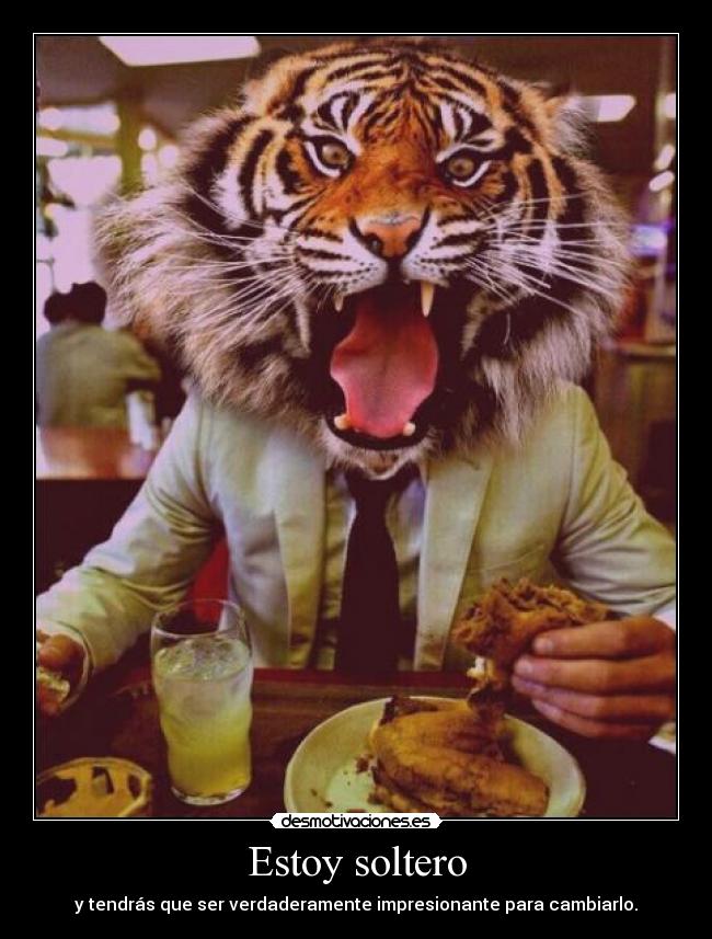 Estoy soltero - 