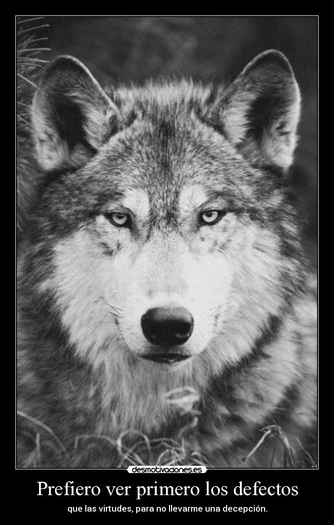 Prefiero ver primero los defectos - que las virtudes, para no llevarme una decepción.
