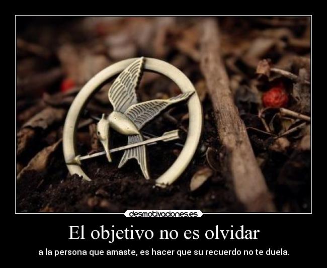 El objetivo no es olvidar - a la persona que amaste, es hacer que su recuerdo no te duela.