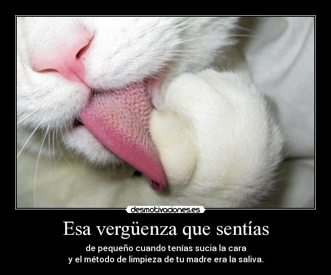 Esa vergüenza que sentías - de pequeño cuando tenías sucia la cara
y el método de limpieza de tu madre era la saliva.