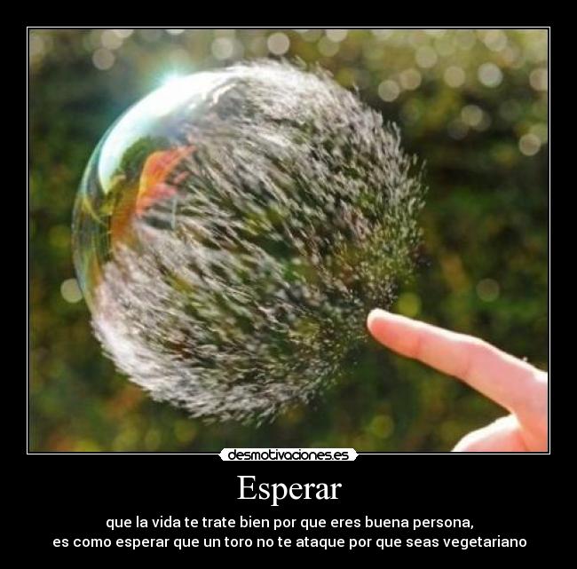 Esperar - que la vida te trate bien por que eres buena persona,
es como esperar que un toro no te ataque por que seas vegetariano