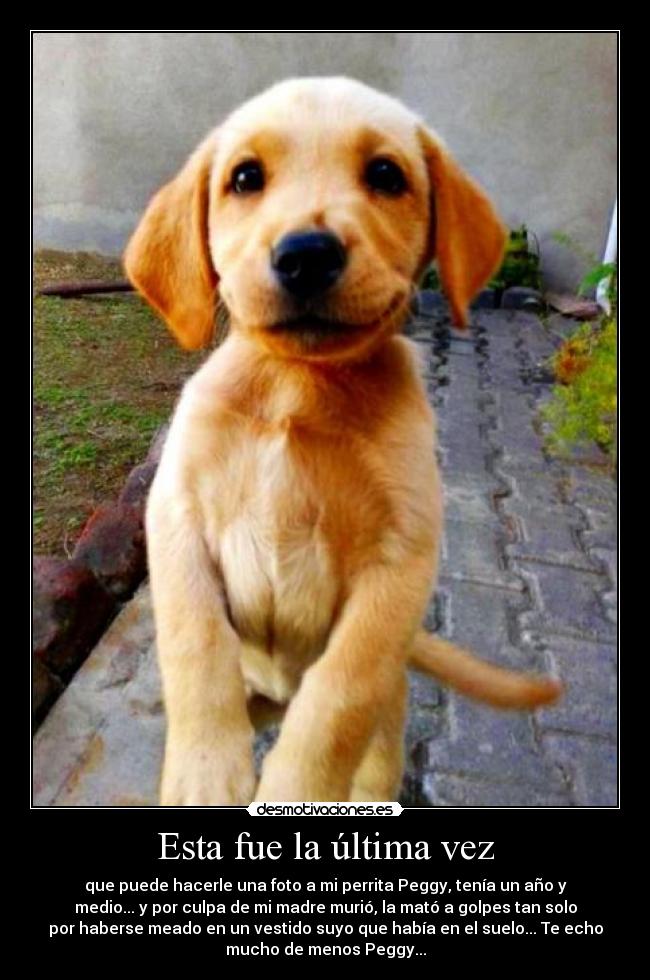 carteles laregla desmotivaciones