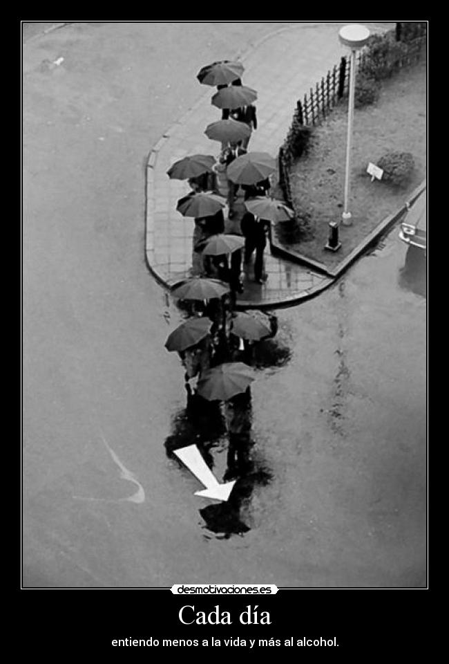 Cada día - entiendo menos a la vida y más al alcohol.