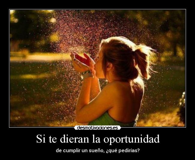 Si te dieran la oportunidad - de cumplir un sueño, ¿qué pedirías?