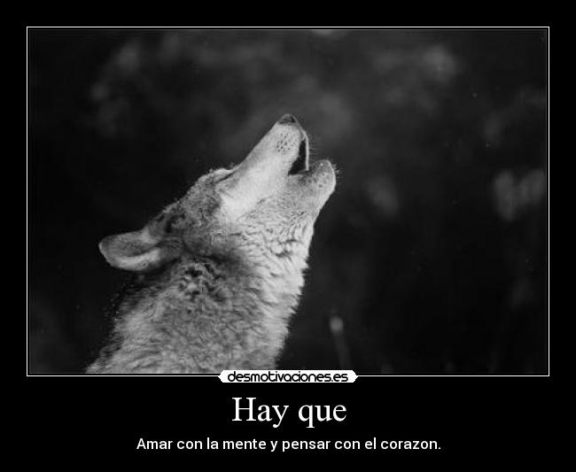 Hay que - Amar con la mente y pensar con el corazon.