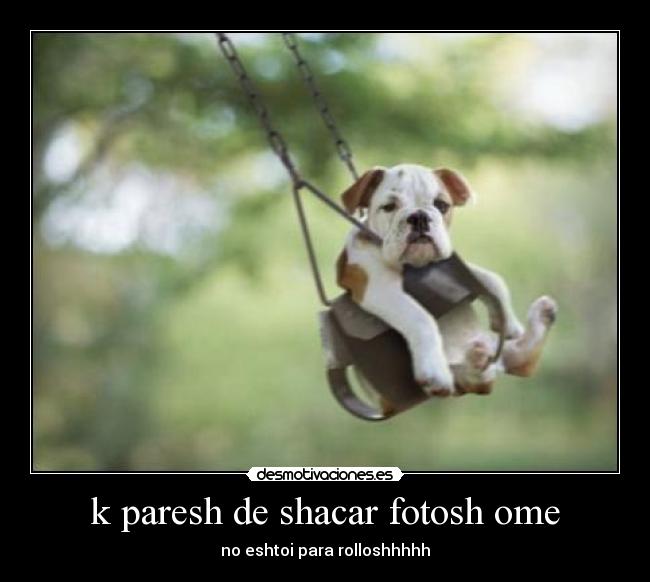 k paresh de shacar fotosh ome - no eshtoi para rolloshhhhh