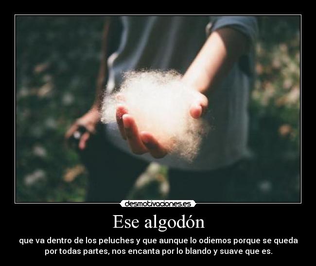 Ese algodón - que va dentro de los peluches y que aunque lo odiemos porque se queda
por todas partes, nos encanta por lo blando y suave que es.