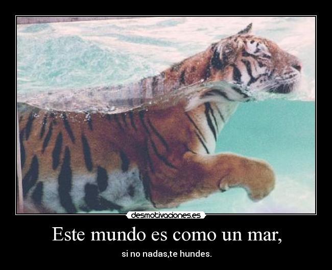 Este mundo es como un mar, - si no nadas,te hundes.