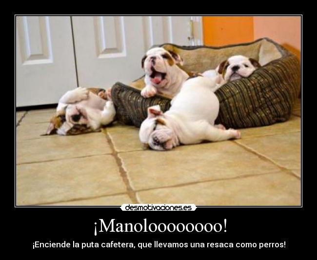 ¡Manoloooooooo! - ¡Enciende la puta cafetera, que llevamos una resaca como perros!