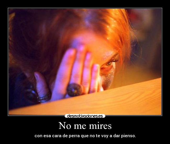 No me mires - con esa cara de perra que no te voy a dar pienso.