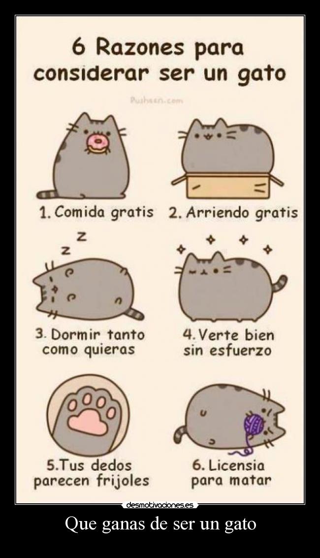 Que ganas de ser un gato -