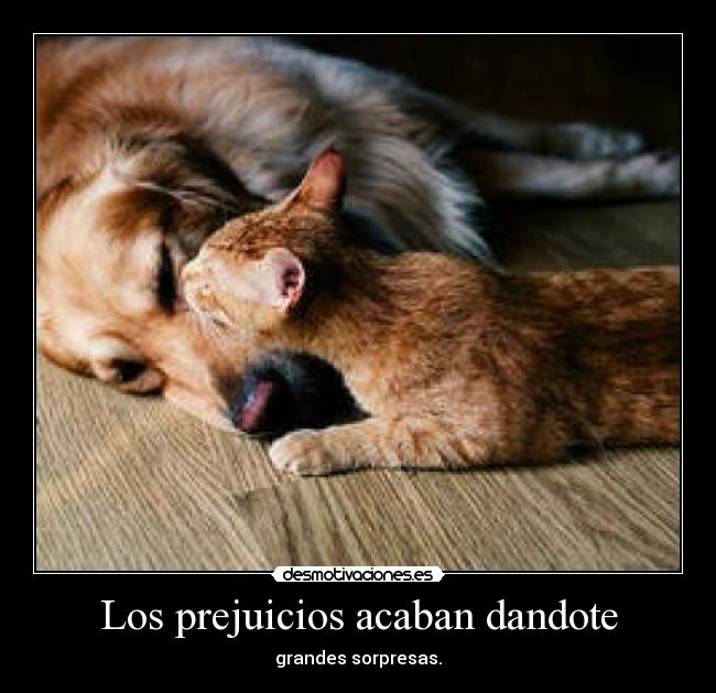 Los prejuicios acaban dandote - 
