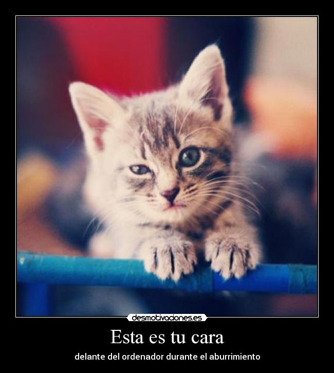 Esta es tu cara - delante del ordenador durante el aburrimiento