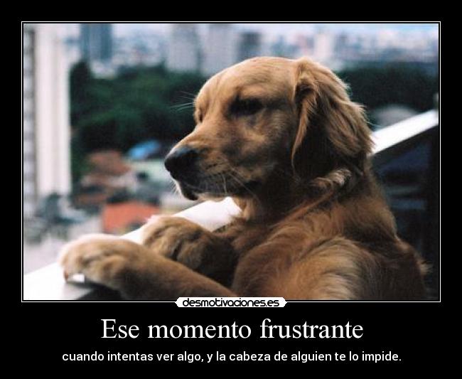 Ese momento frustrante - 