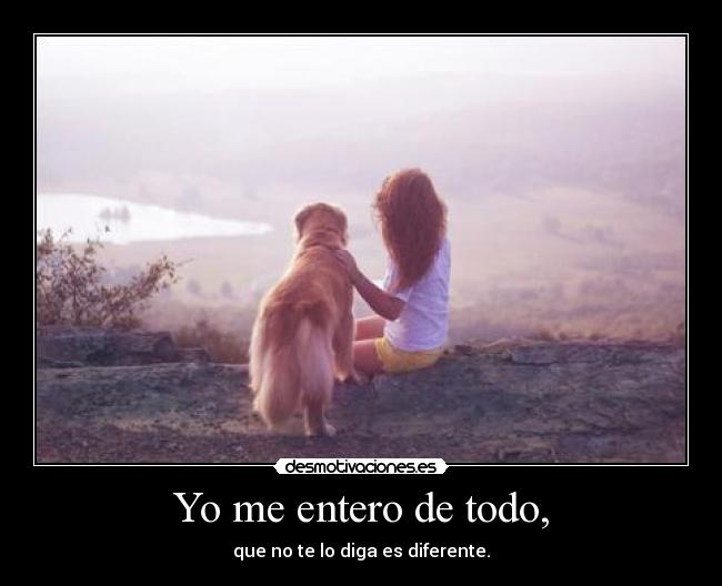Yo me entero de todo, - 
