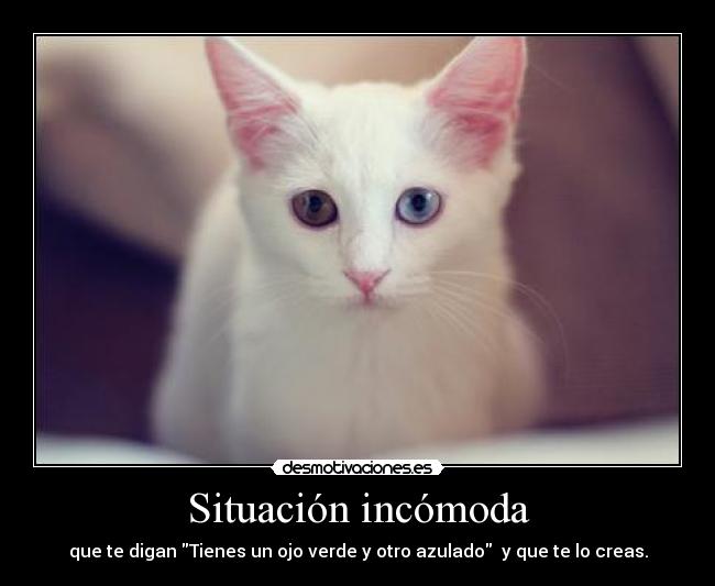 Situación incómoda - que te digan Tienes un ojo verde y otro azulado y que te lo creas.