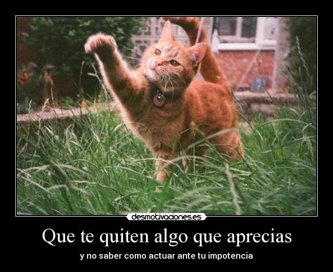 Que te quiten algo que aprecias - 