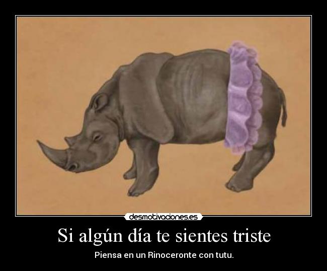 Si algún día te sientes triste - Piensa en un Rinoceronte con tutu.