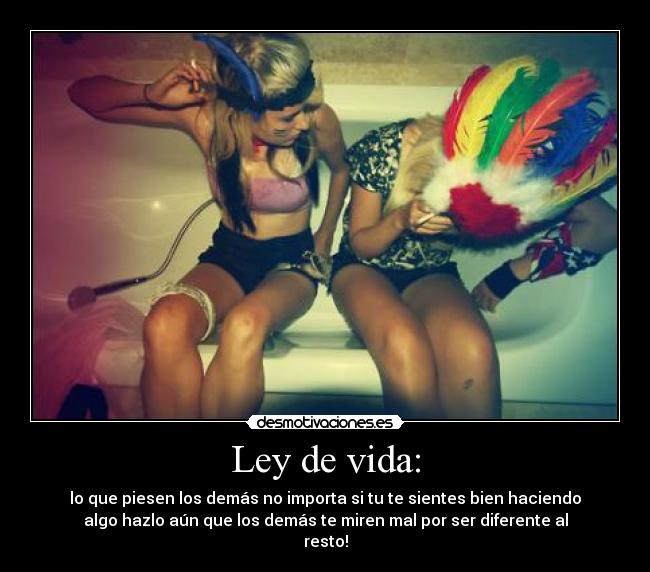 carteles vida ley vida desmotivaciones