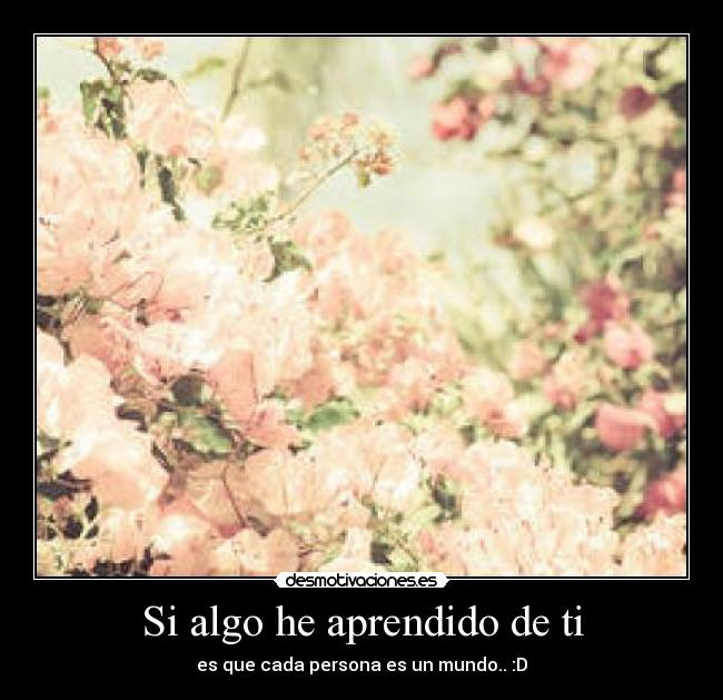 carteles algo aprendido desmotivaciones