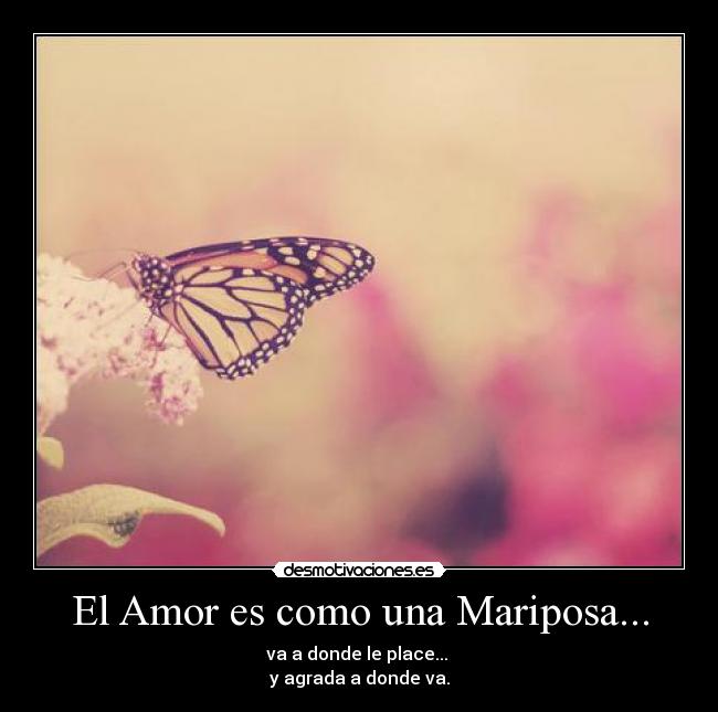 El Amor es como una Mariposa... - va a donde le place...
y agrada a donde va.