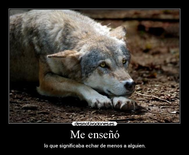 Me enseñó - lo que significaba echar de menos a alguien.