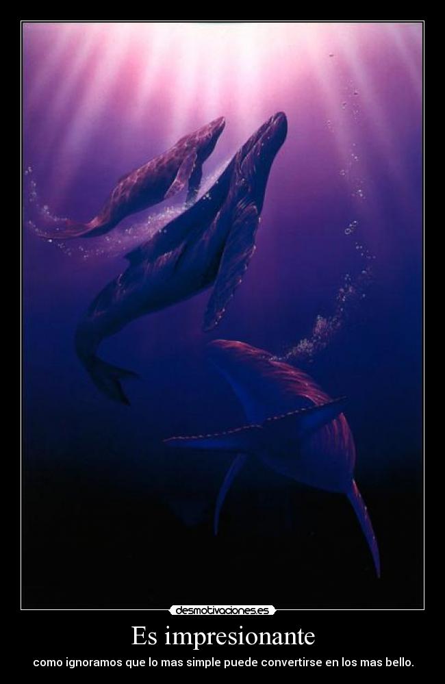 carteles ballenas mar the sea the live more tasty andreszambrano desmotivaciones