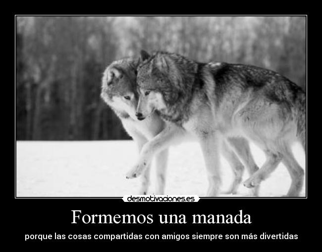 Formemos una manada - 