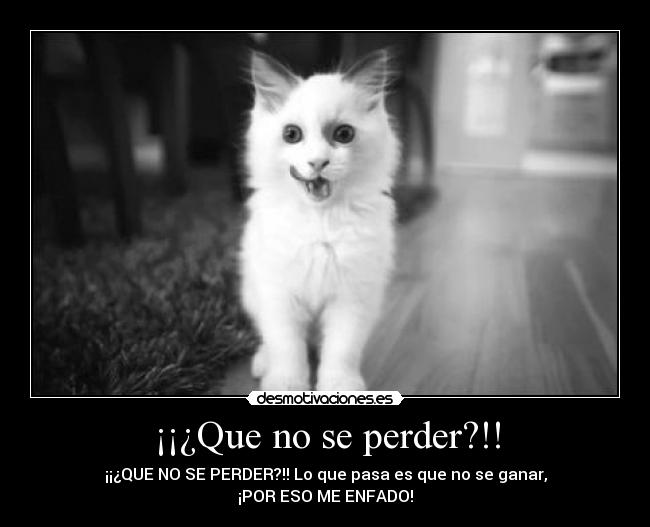 ¡¡¿Que no se perder?!! - 
