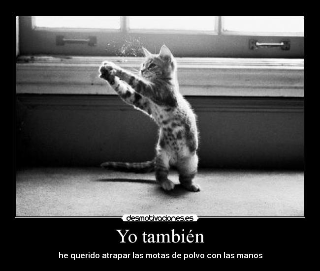 Yo también - he querido atrapar las motas de polvo con las manos