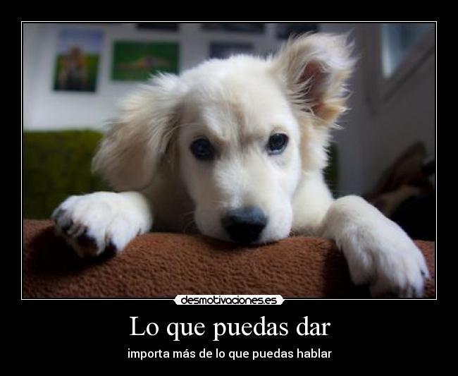 Lo que puedas dar - importa más de lo que puedas hablar