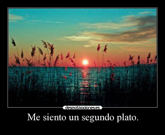 Me siento un segundo plato. - 