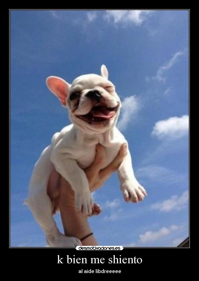 k bien me shiento - al aide libdreeeee